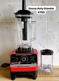 VIGOO Multifunctional Blender 2 in 1